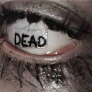 Meet your Posher, Brooklynn